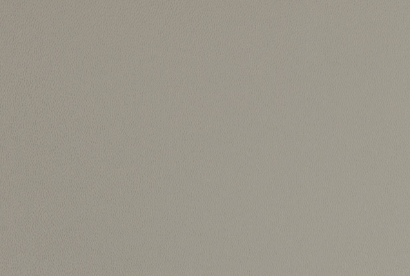 Silk Putty
